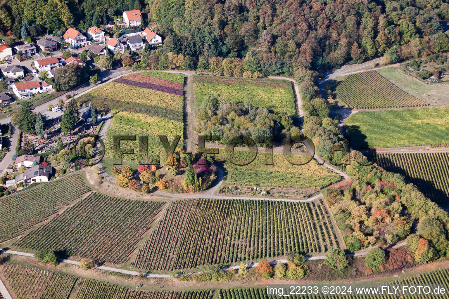 Drone recording of Burrweiler in the state Rhineland-Palatinate, Germany