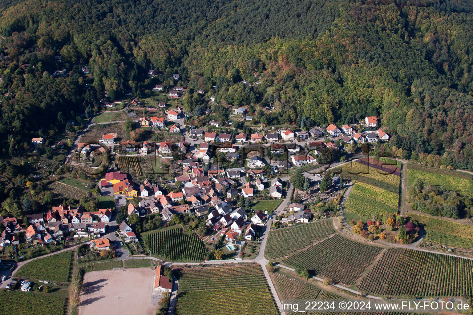 Drone image of Burrweiler in the state Rhineland-Palatinate, Germany