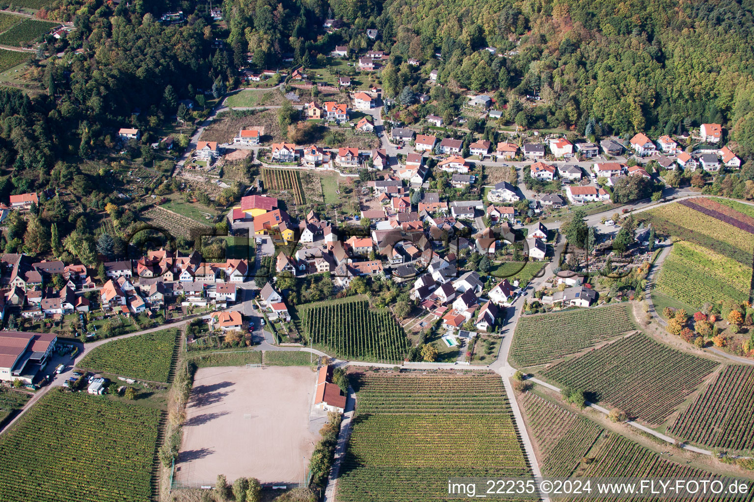 Burrweiler in the state Rhineland-Palatinate, Germany from the drone perspective