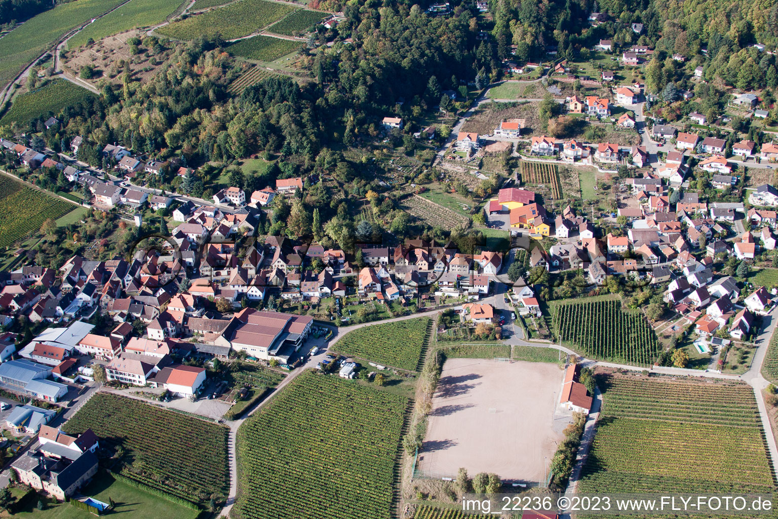 Burrweiler in the state Rhineland-Palatinate, Germany seen from a drone