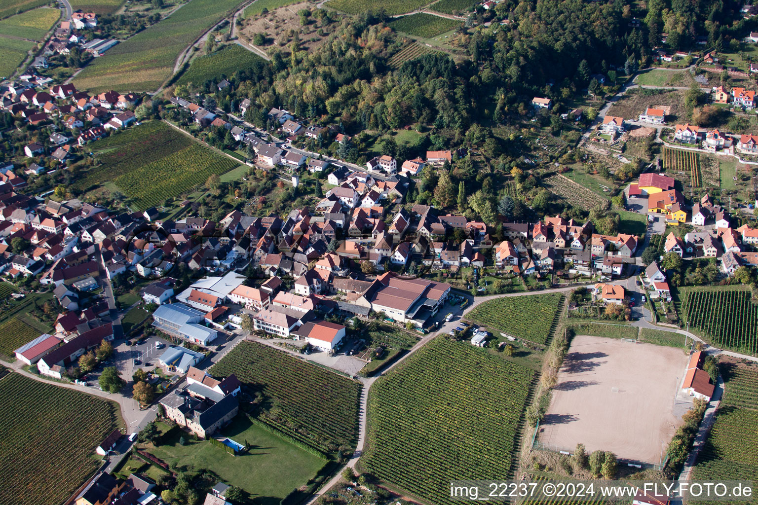 Burrweiler in the state Rhineland-Palatinate, Germany seen from a drone