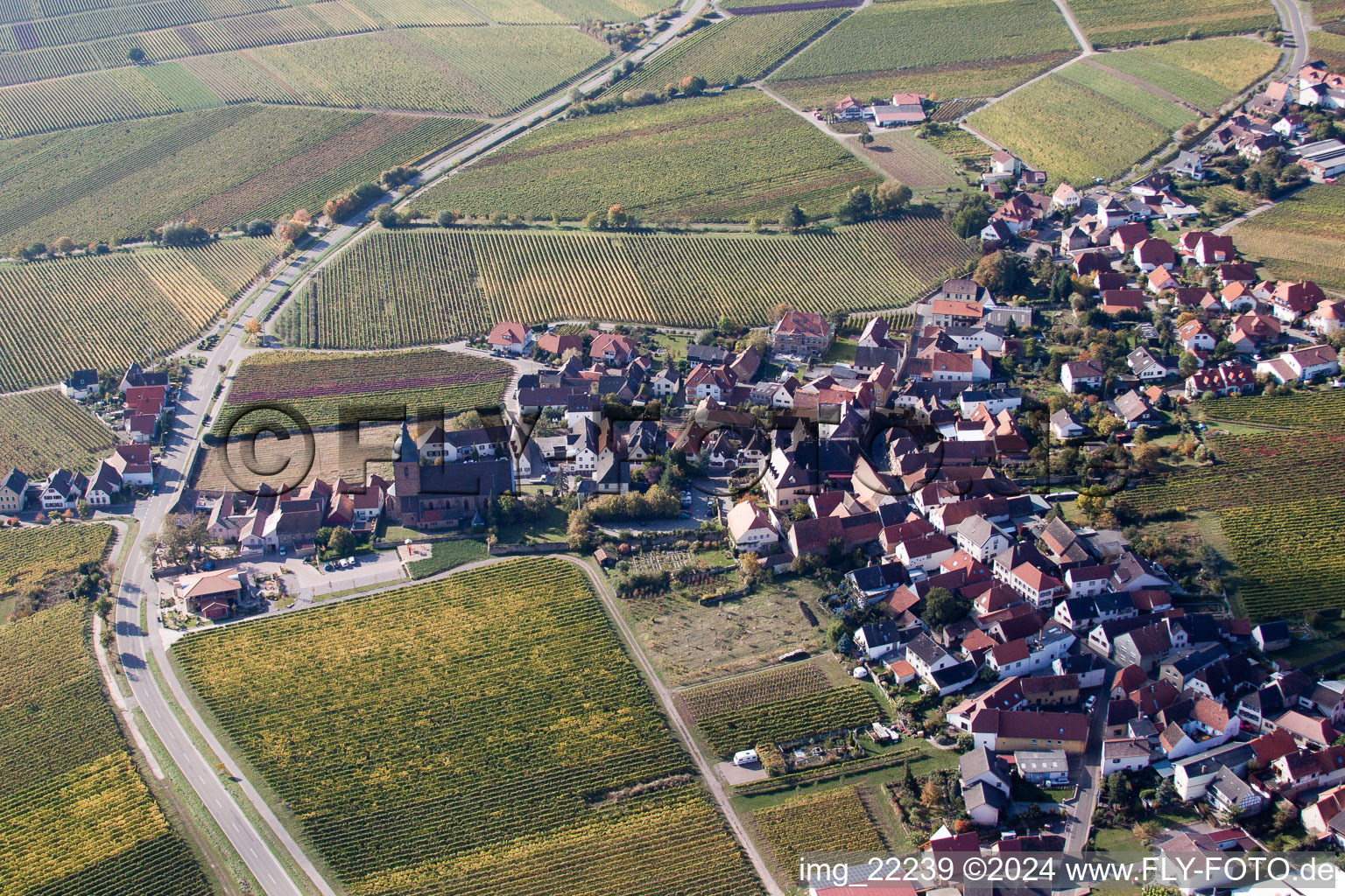 Aerial photograpy of Burrweiler in the state Rhineland-Palatinate, Germany