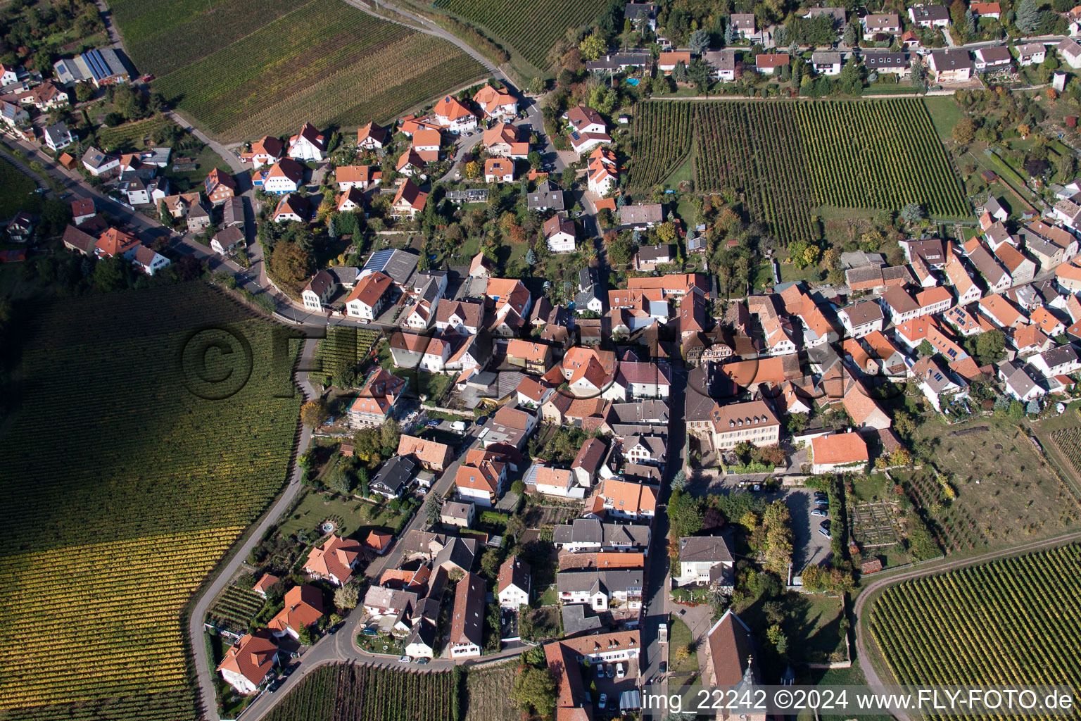 Oblique view of Burrweiler in the state Rhineland-Palatinate, Germany