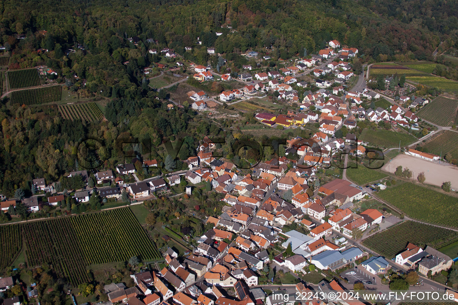 Burrweiler in the state Rhineland-Palatinate, Germany from above