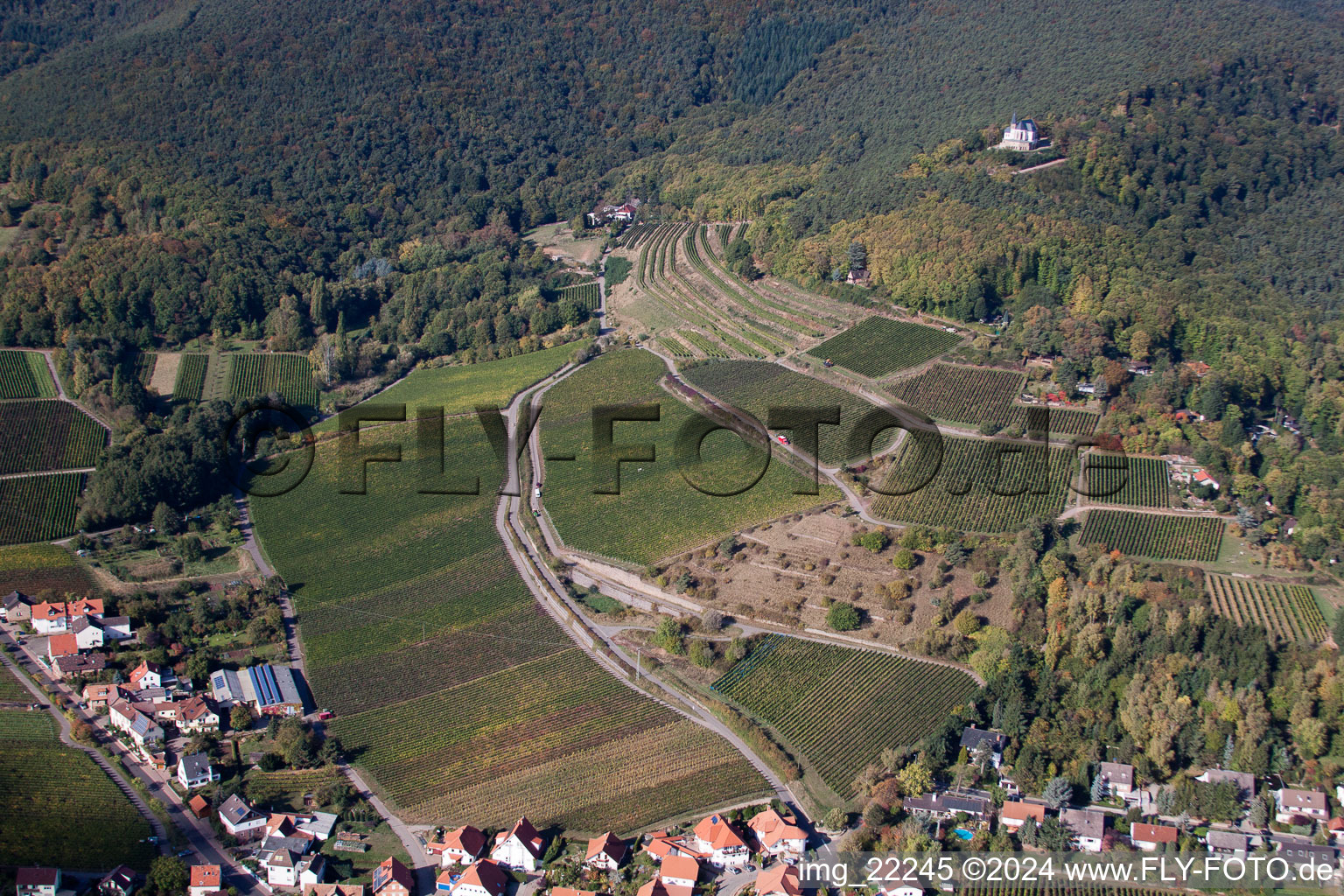 Burrweiler in the state Rhineland-Palatinate, Germany seen from above