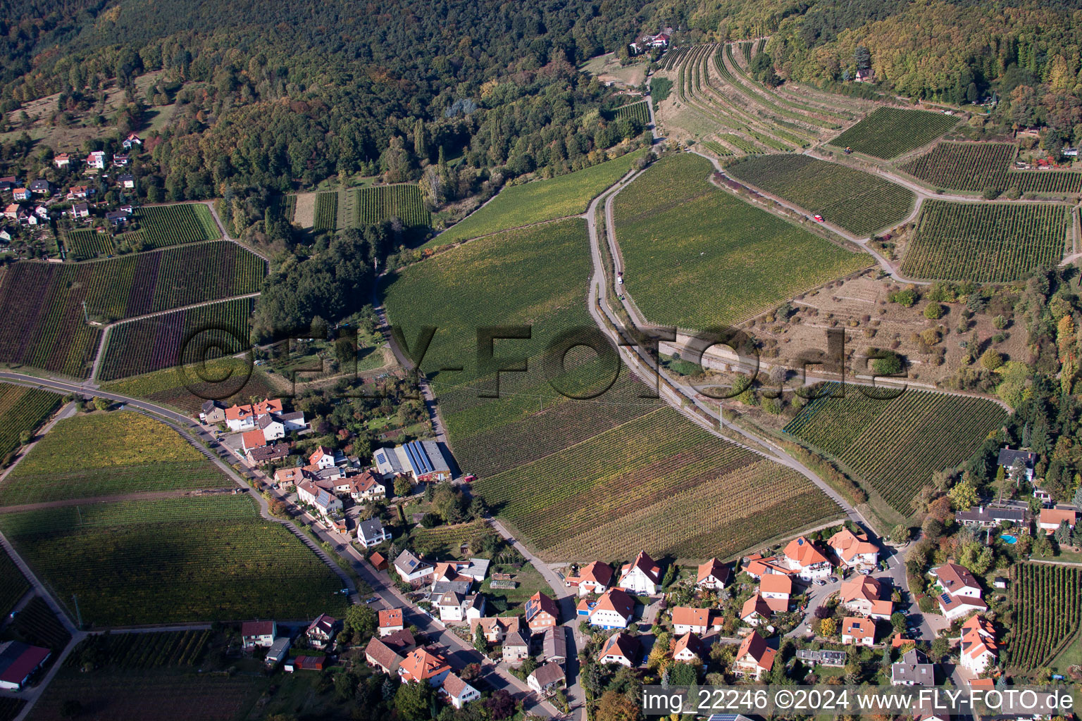 Burrweiler in the state Rhineland-Palatinate, Germany from the plane