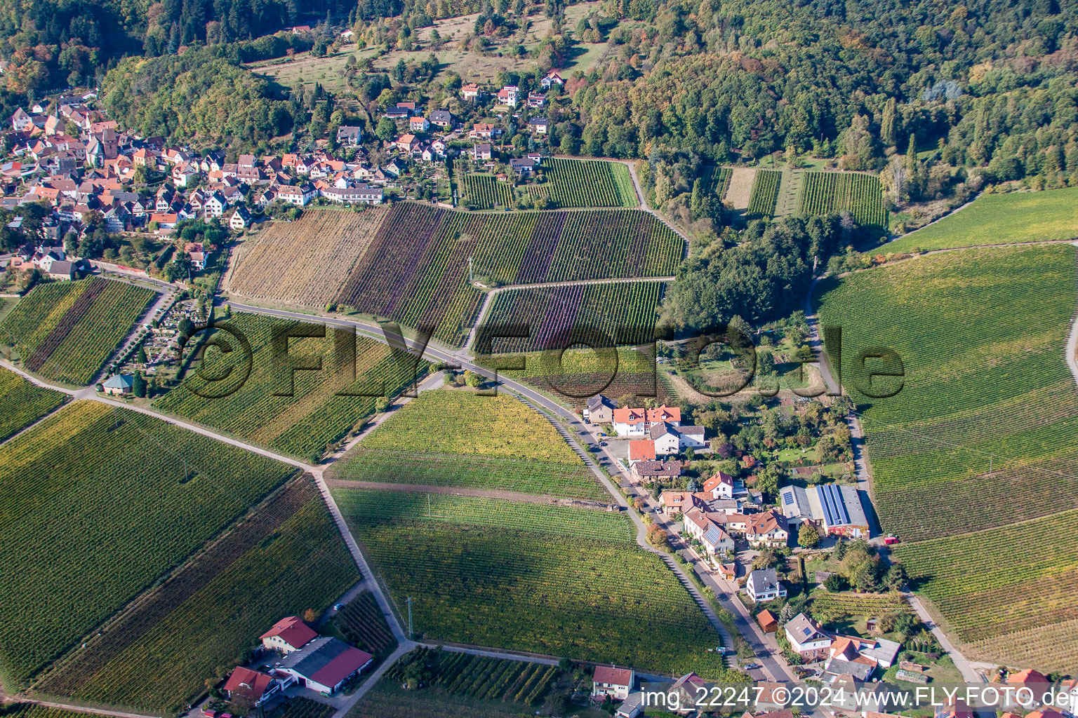 Bird's eye view of Burrweiler in the state Rhineland-Palatinate, Germany