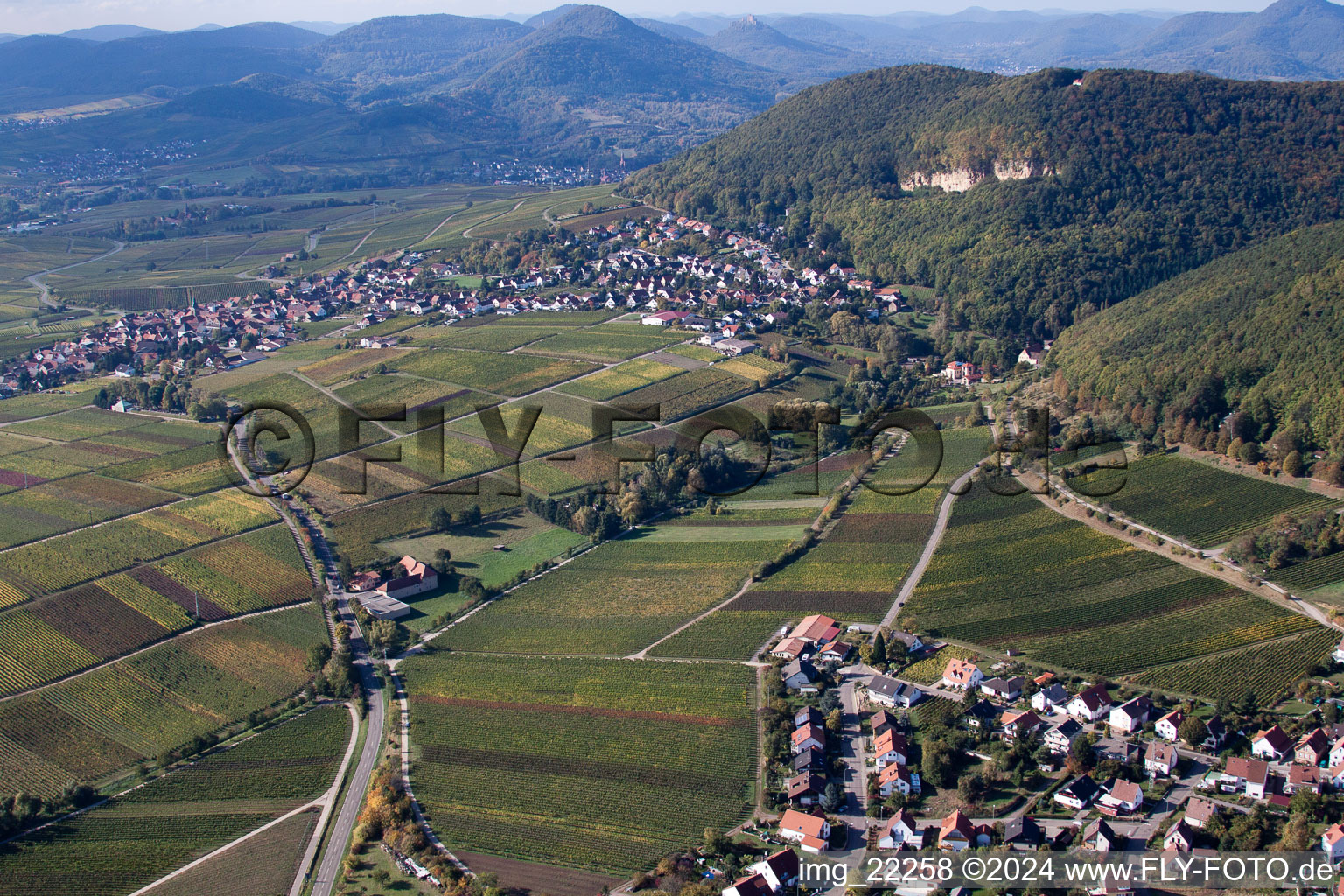 Frankweiler in the state Rhineland-Palatinate, Germany seen from above