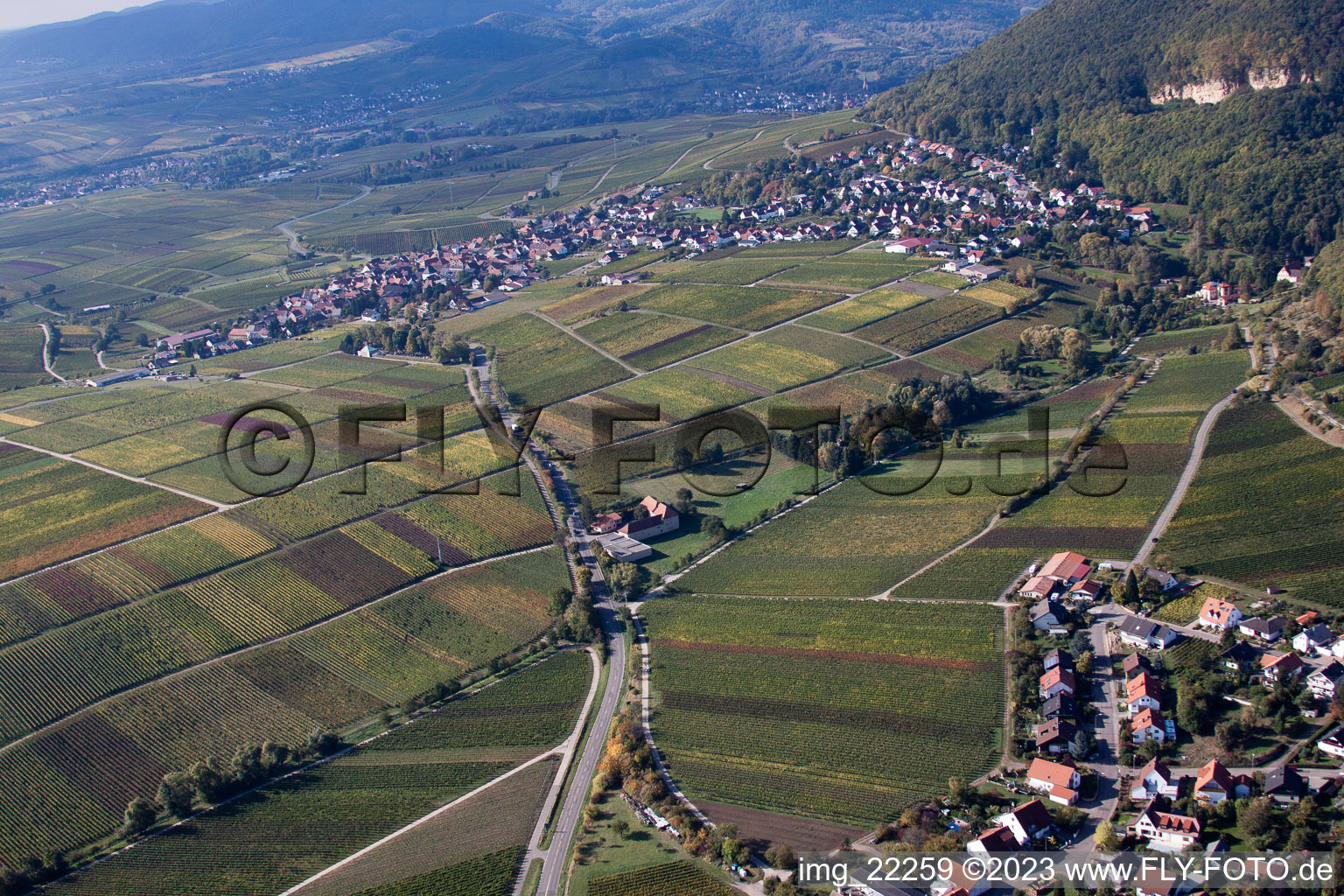 Bird's eye view of Frankweiler in the state Rhineland-Palatinate, Germany