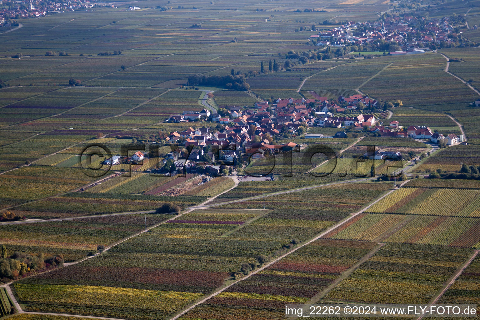 Flemlingen in the state Rhineland-Palatinate, Germany viewn from the air