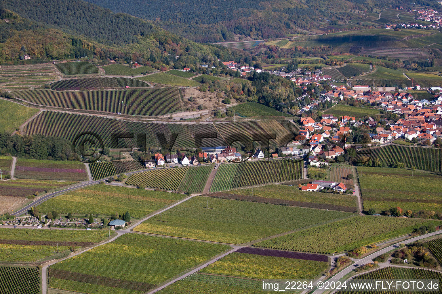 Gleisweiler in the state Rhineland-Palatinate, Germany from the plane