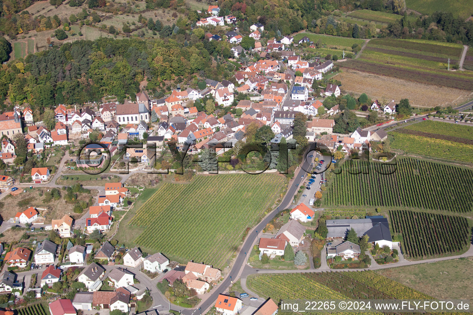 Bird's eye view of Gleisweiler in the state Rhineland-Palatinate, Germany