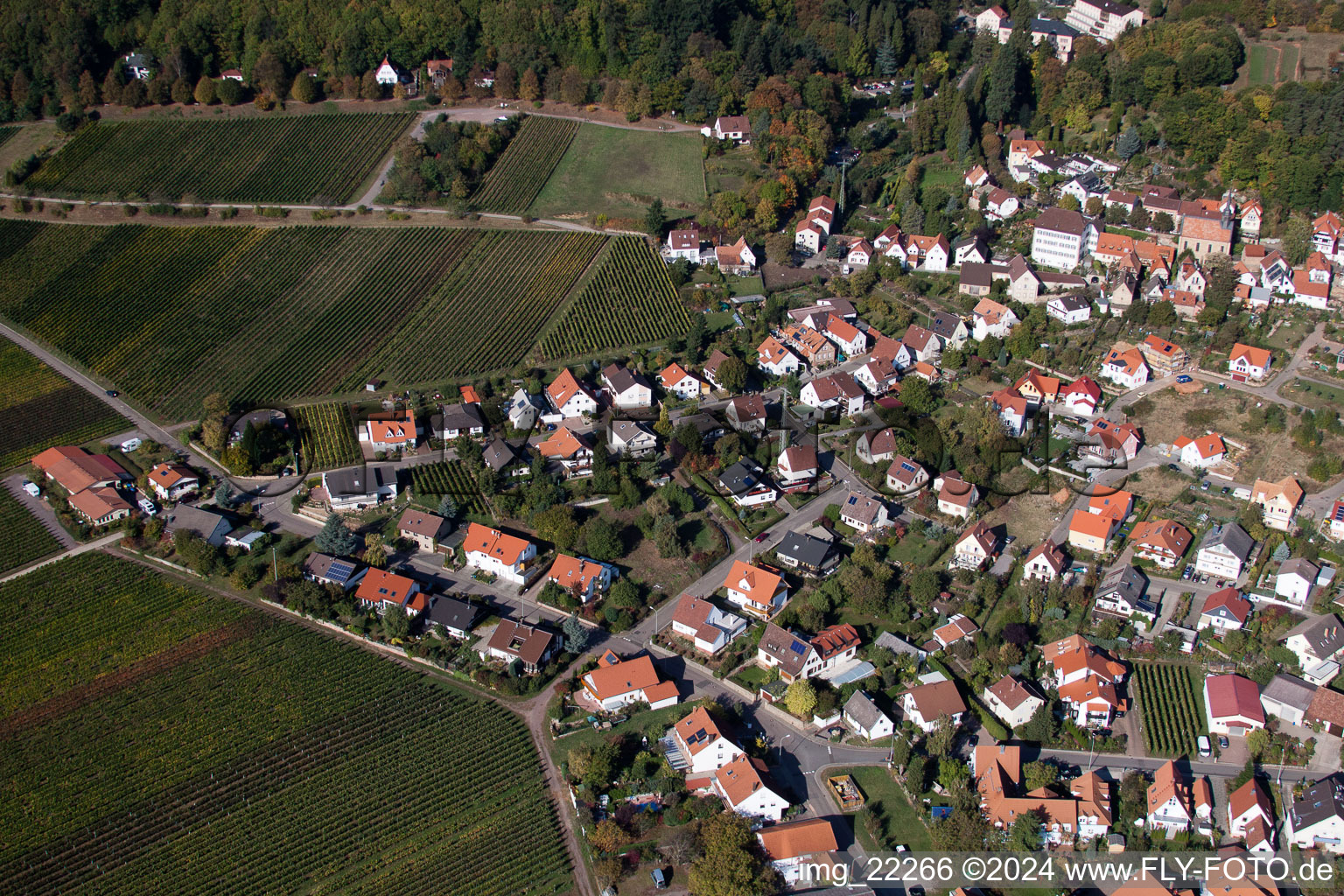 Gleisweiler in the state Rhineland-Palatinate, Germany viewn from the air