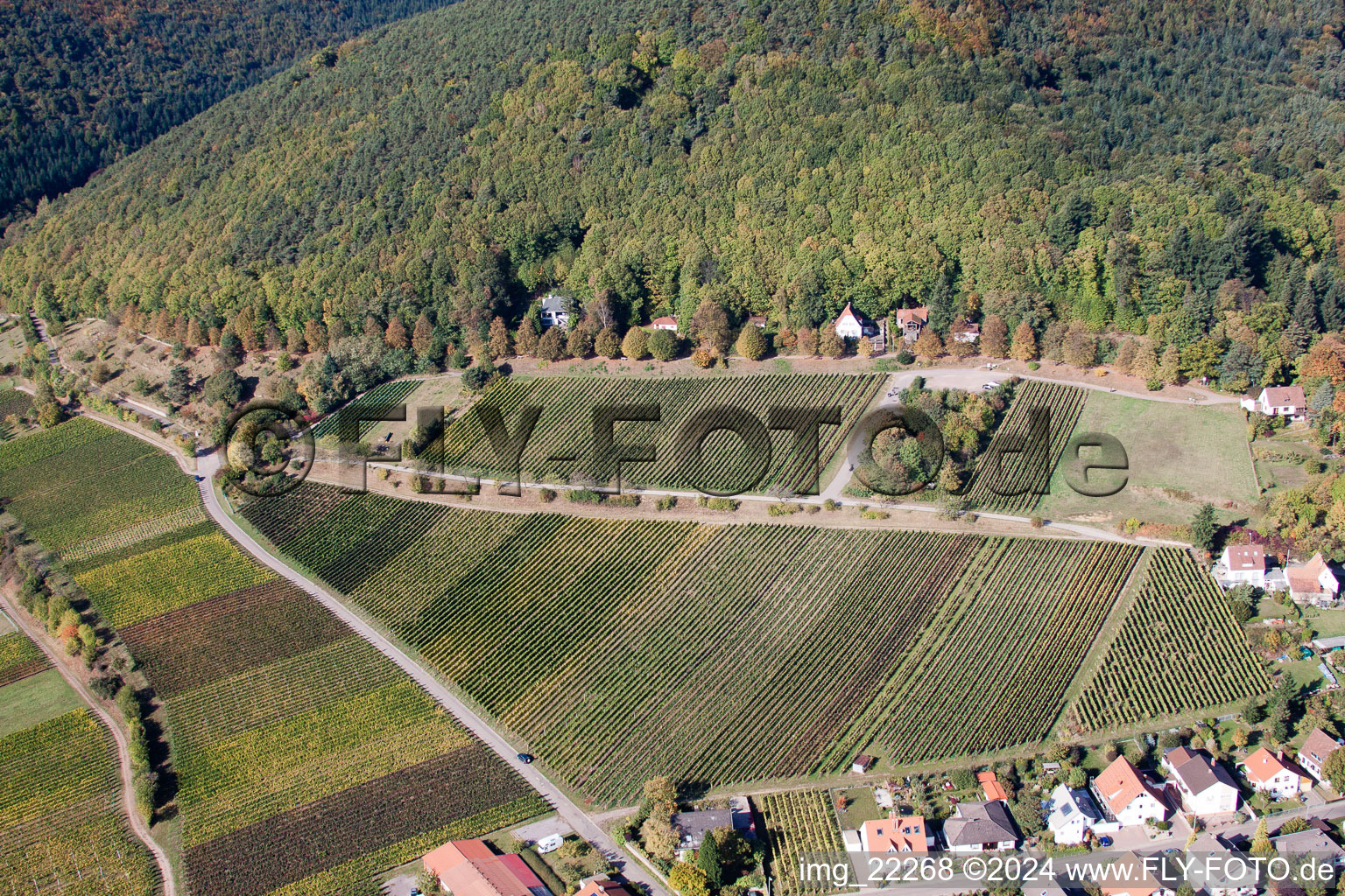 Drone recording of Gleisweiler in the state Rhineland-Palatinate, Germany