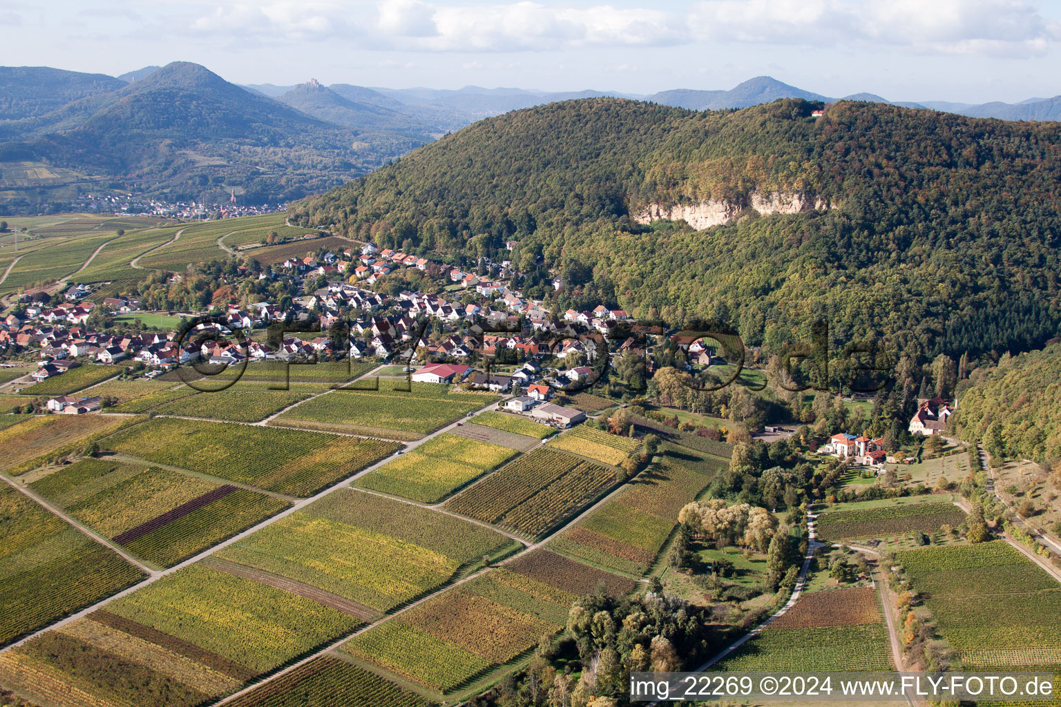 Bird's eye view of Frankweiler in the state Rhineland-Palatinate, Germany