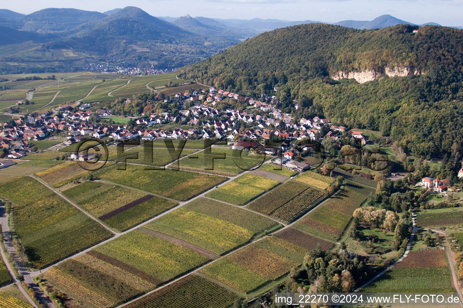 Aerial view of Village - view between palatinat forest and grapes in Frankweiler in the state Rhineland-Palatinate