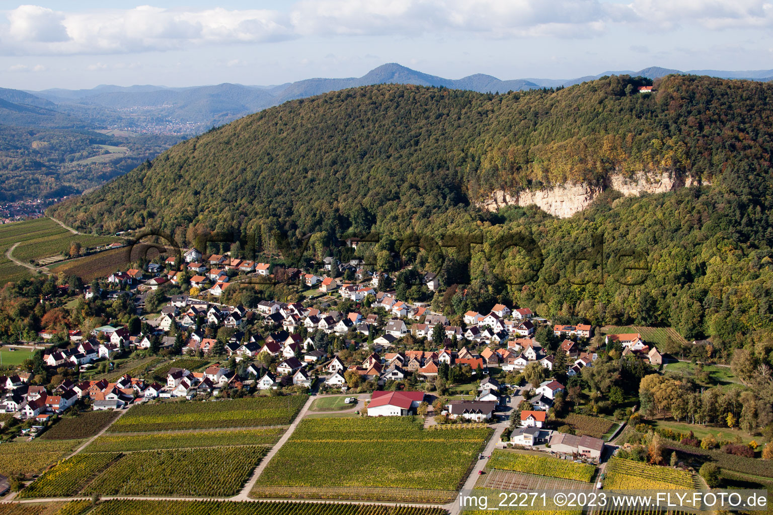 Drone recording of Frankweiler in the state Rhineland-Palatinate, Germany