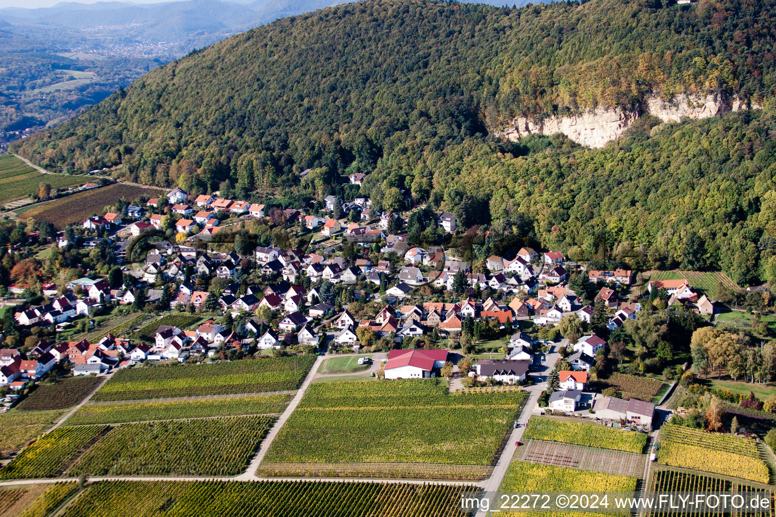 Drone recording of Frankweiler in the state Rhineland-Palatinate, Germany