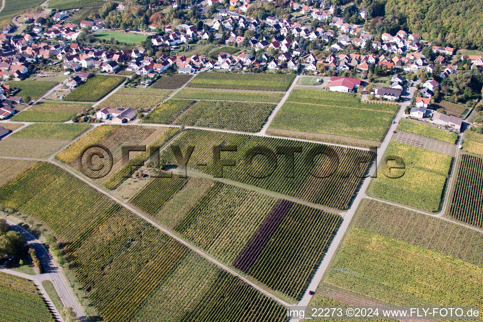 Drone image of Frankweiler in the state Rhineland-Palatinate, Germany