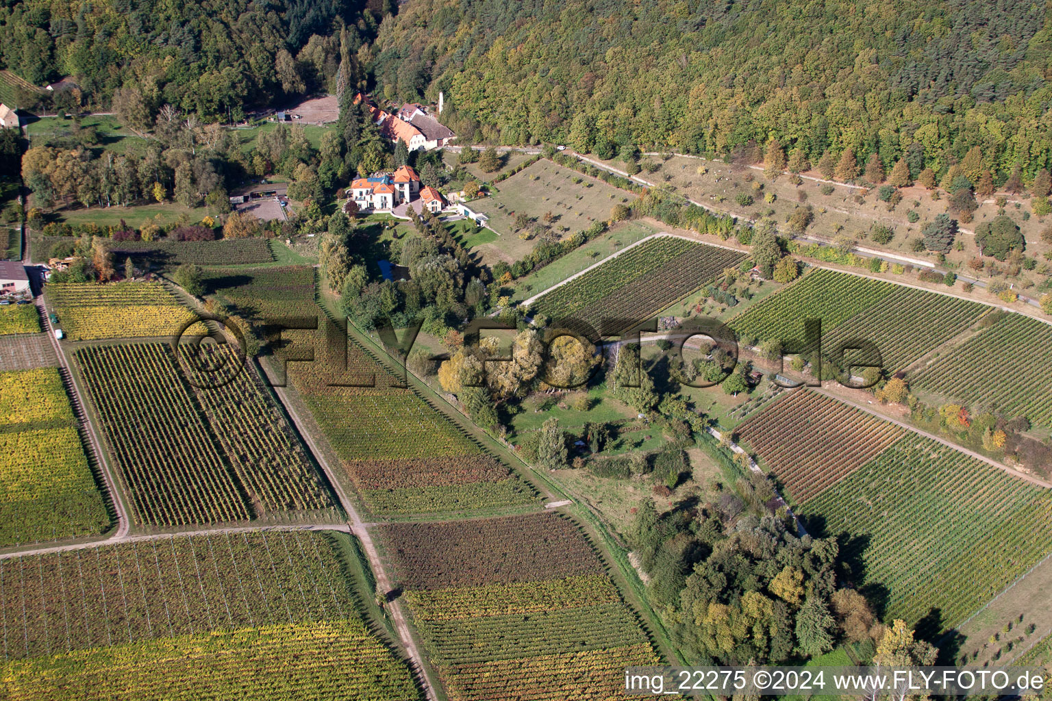 Frankweiler in the state Rhineland-Palatinate, Germany from the drone perspective