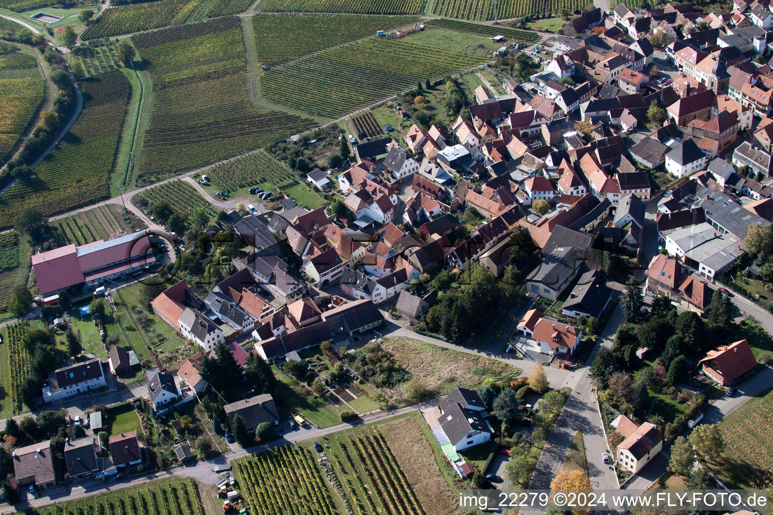 Frankweiler in the state Rhineland-Palatinate, Germany seen from a drone