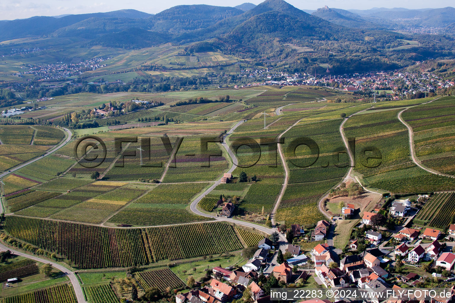 Frankweiler in the state Rhineland-Palatinate, Germany from above