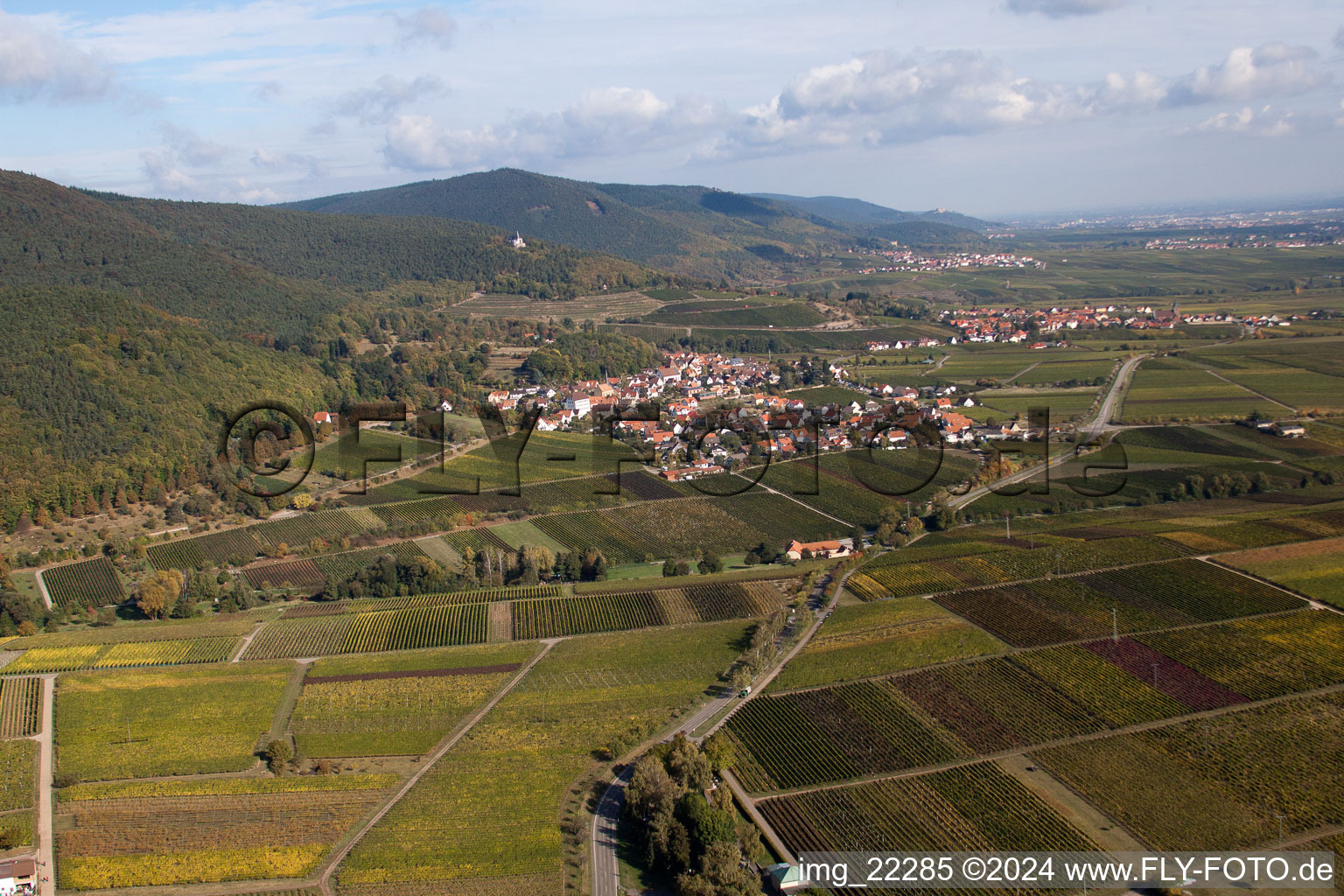 Frankweiler in the state Rhineland-Palatinate, Germany out of the air