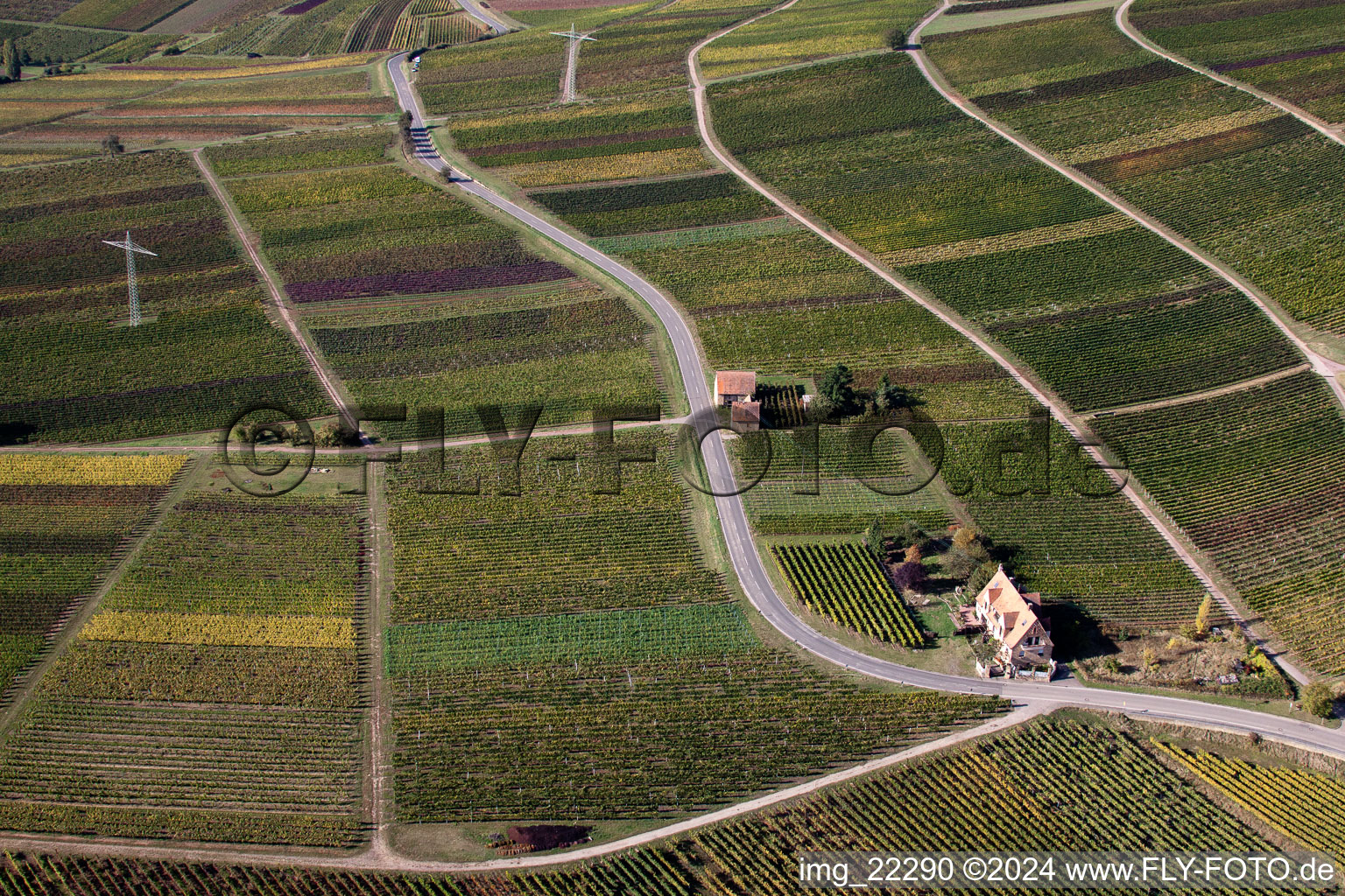 Frankweiler in the state Rhineland-Palatinate, Germany seen from above