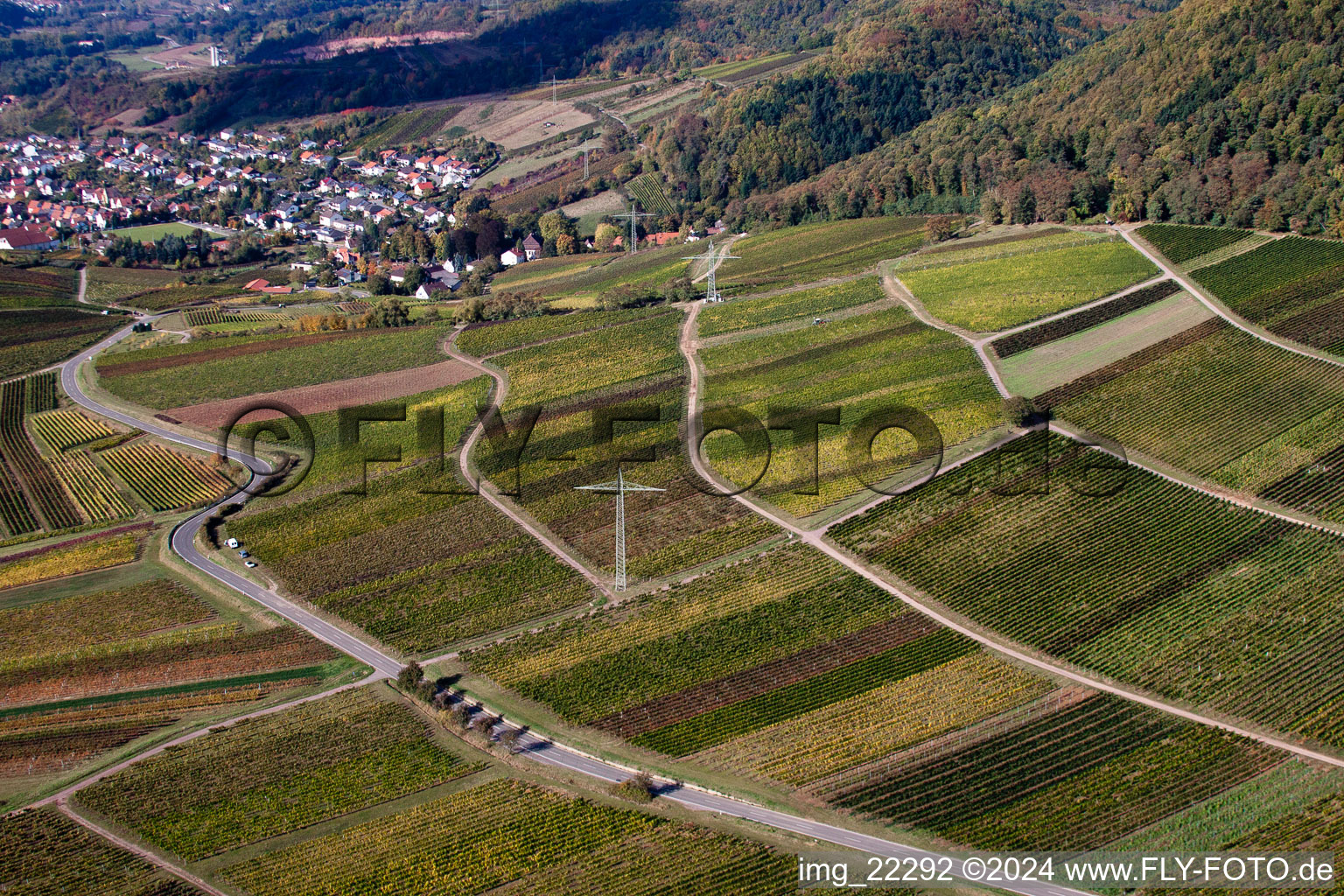 Drone image of Albersweiler in the state Rhineland-Palatinate, Germany