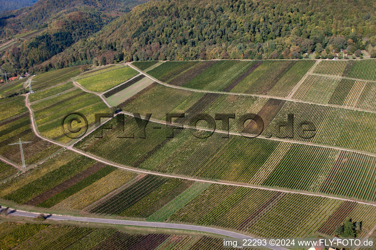 Albersweiler in the state Rhineland-Palatinate, Germany from the drone perspective