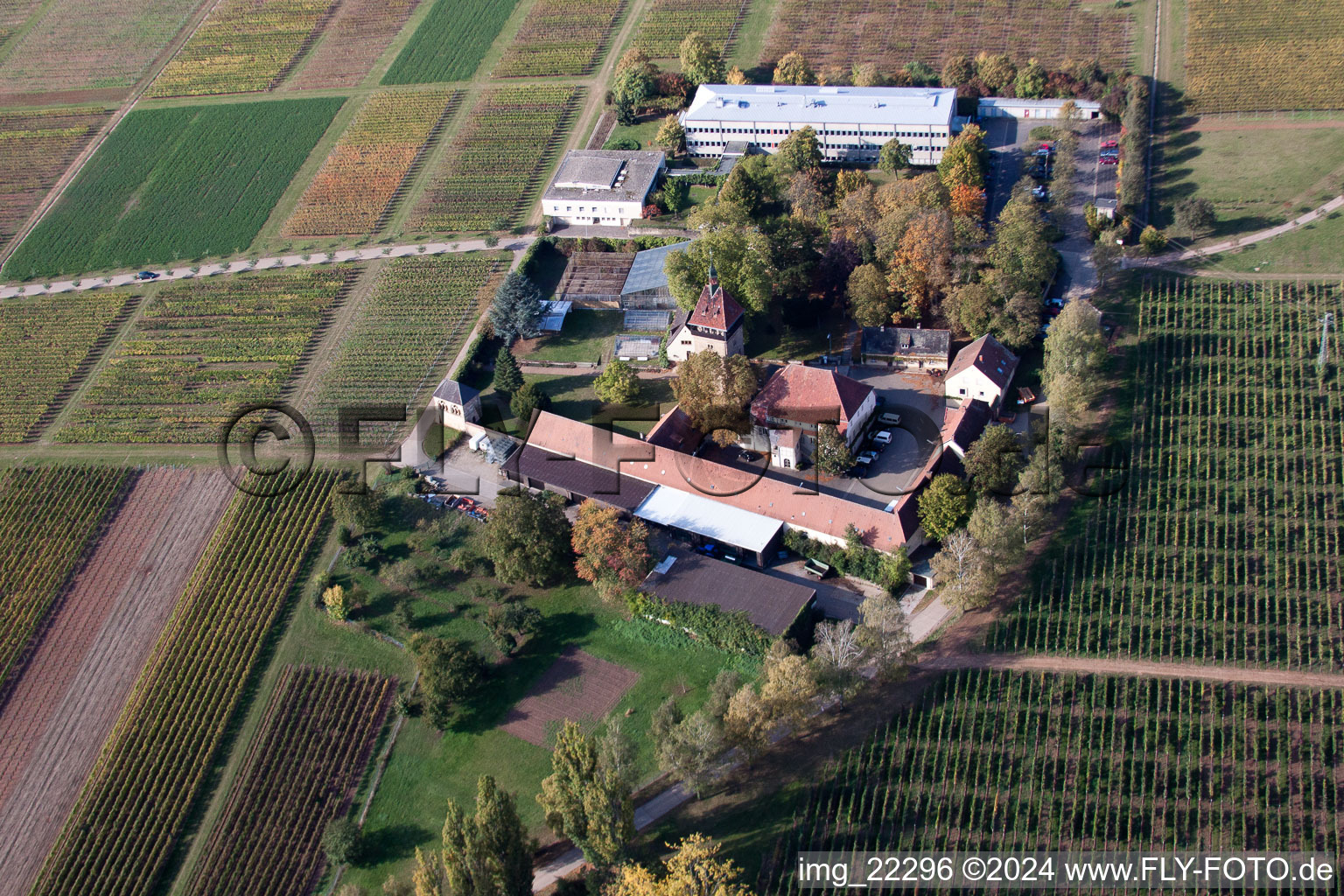 Aerial photograpy of BFA-Geilweilerhof (Vine Research Institute) in Siebeldingen in the state Rhineland-Palatinate, Germany