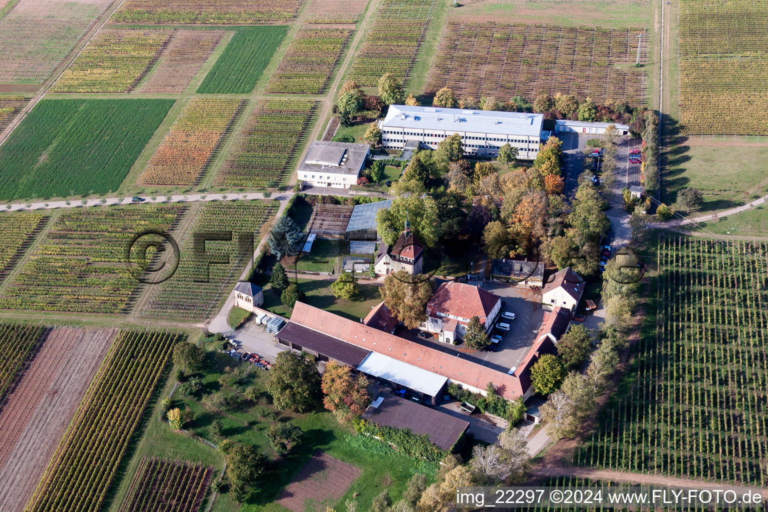 Oblique view of BFA-Geilweilerhof (Vine Research Institute) in Siebeldingen in the state Rhineland-Palatinate, Germany