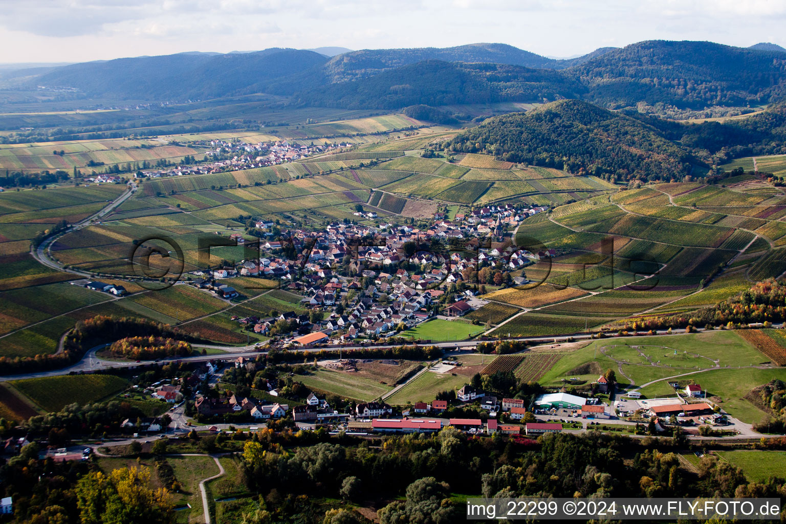 Birkweiler in the state Rhineland-Palatinate, Germany from the plane