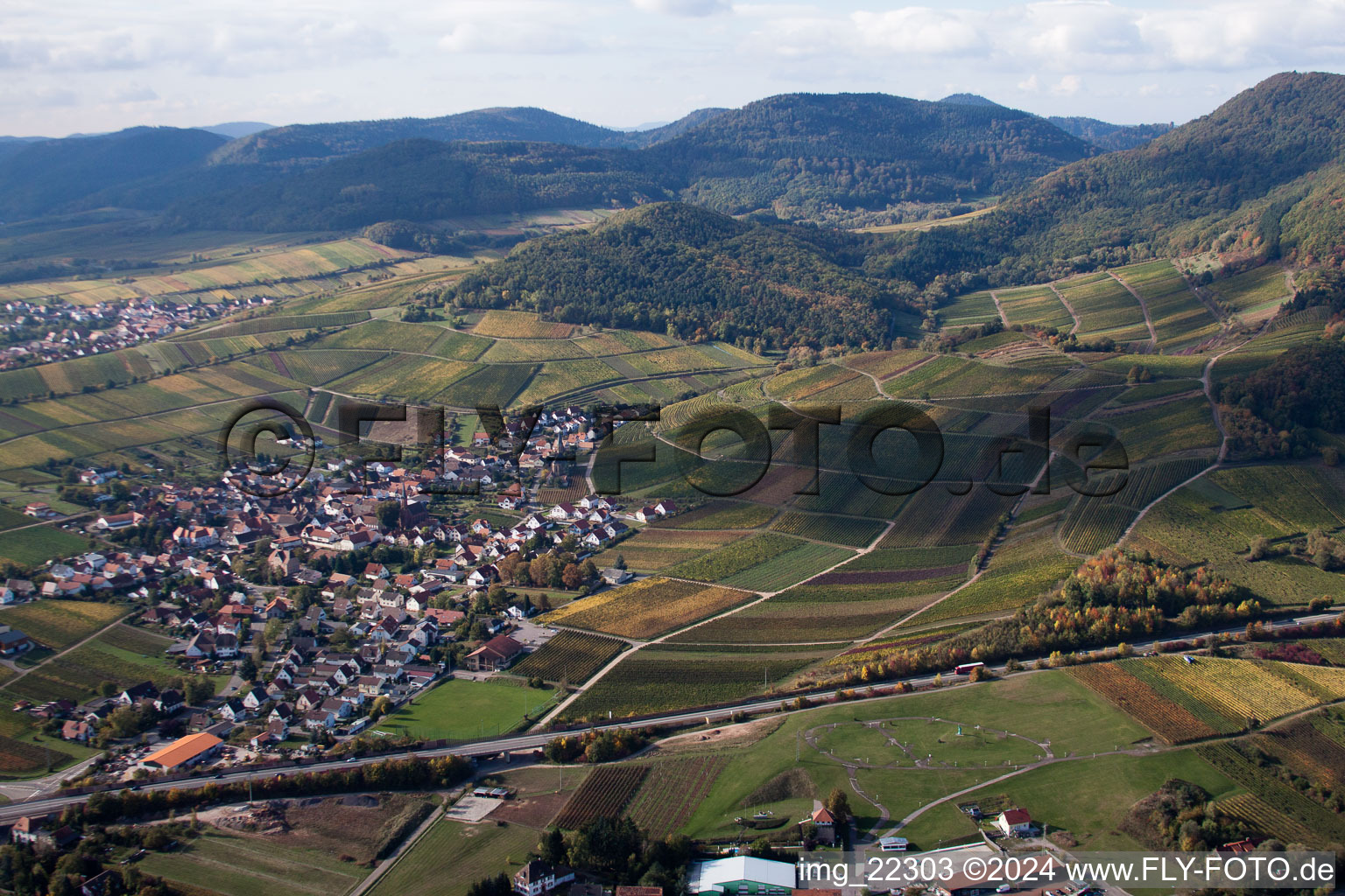 Bird's eye view of Birkweiler in the state Rhineland-Palatinate, Germany