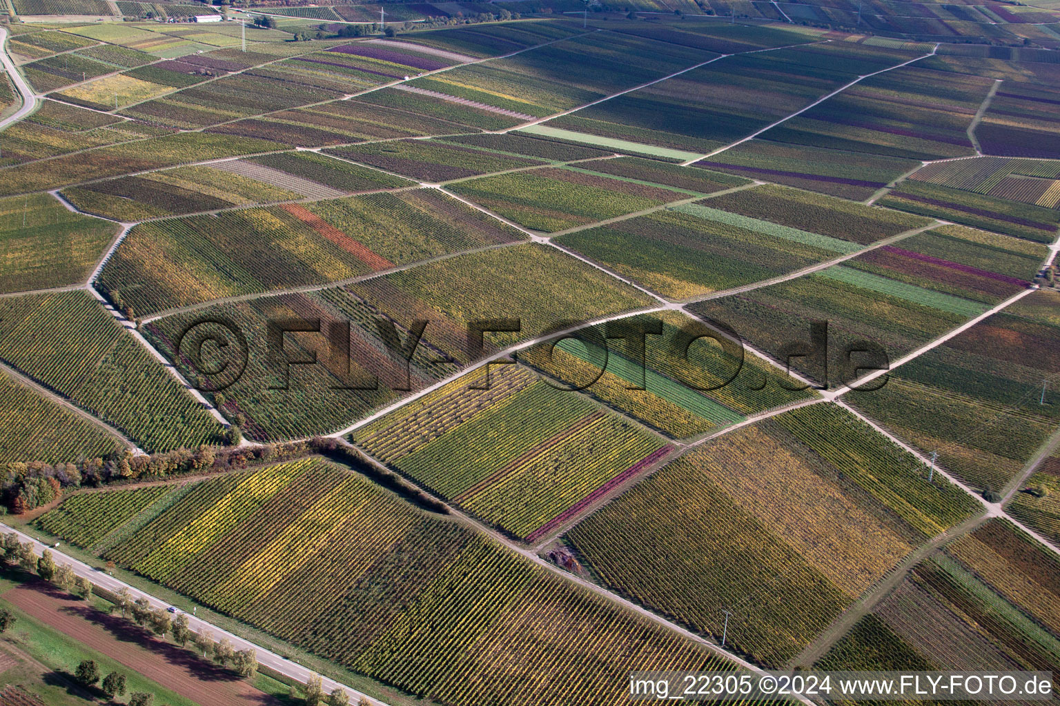 Siebeldingen in the state Rhineland-Palatinate, Germany out of the air