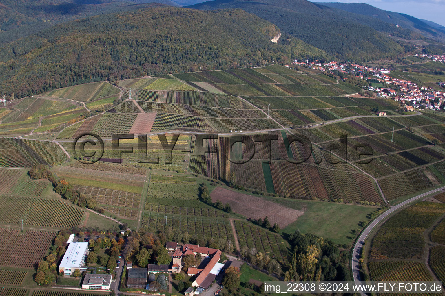 Siebeldingen in the state Rhineland-Palatinate, Germany out of the air