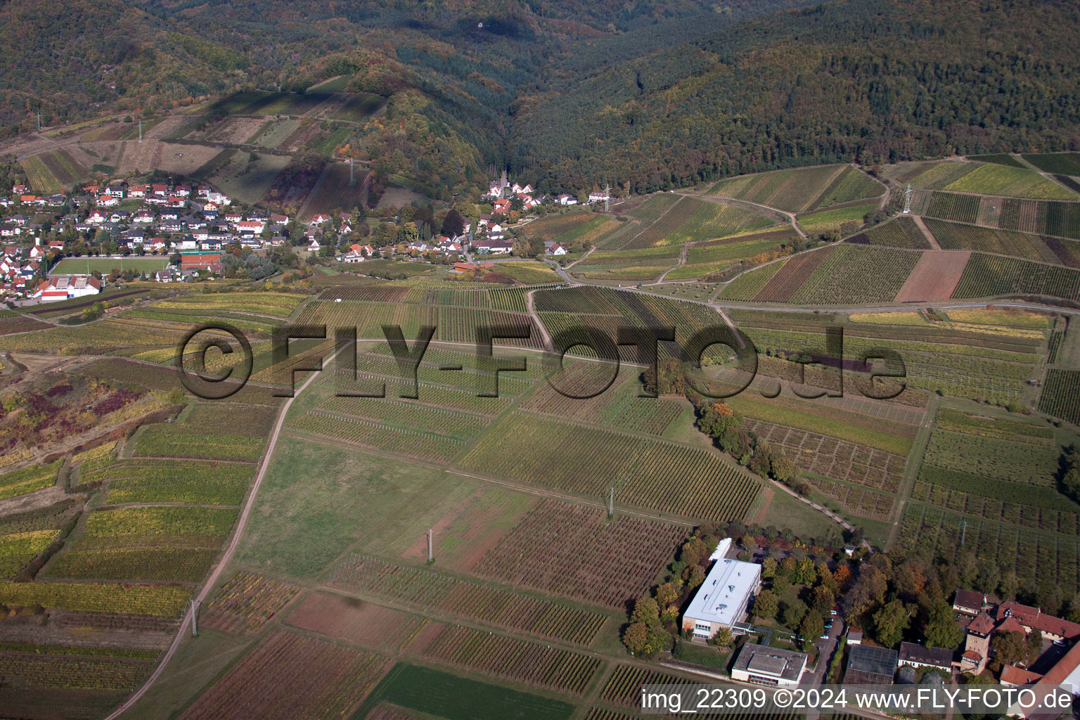 Siebeldingen in the state Rhineland-Palatinate, Germany seen from above