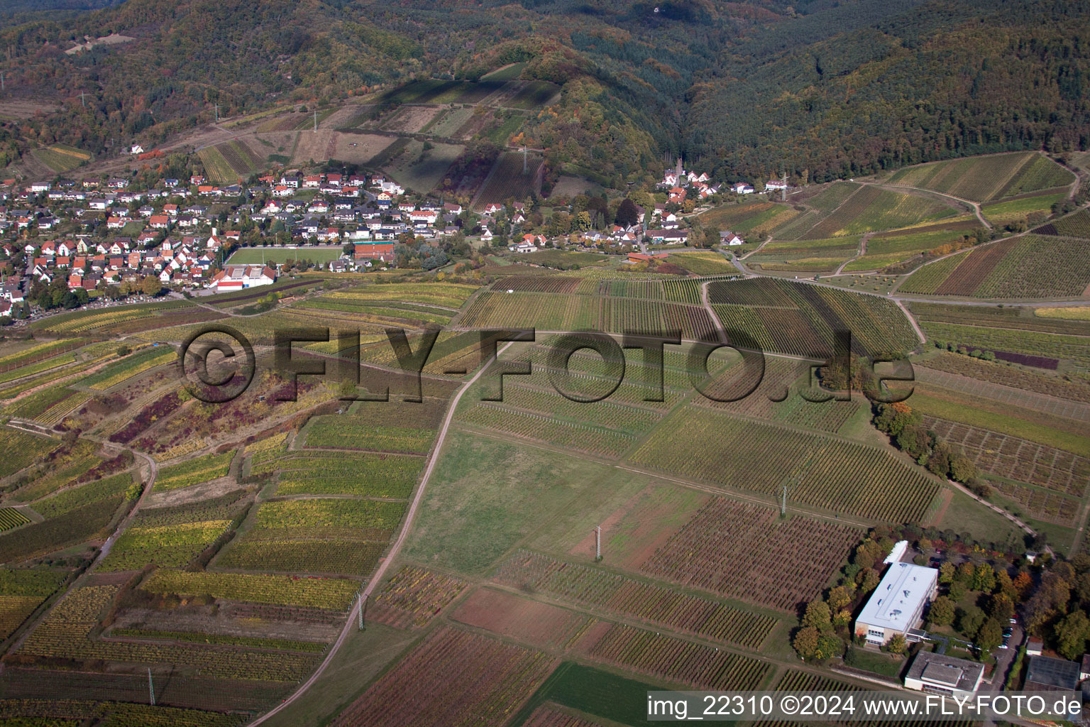 Drone recording of Birkweiler in the state Rhineland-Palatinate, Germany