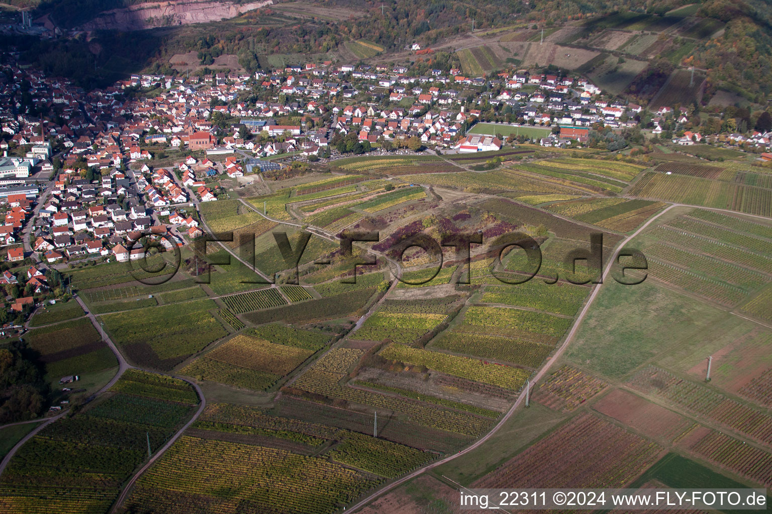 Aerial view of Albersweiler in the state Rhineland-Palatinate, Germany