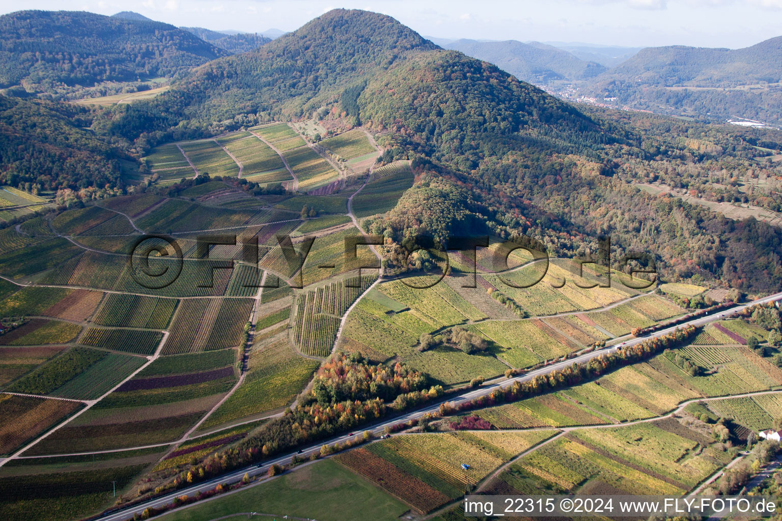 Bird's eye view of Siebeldingen in the state Rhineland-Palatinate, Germany