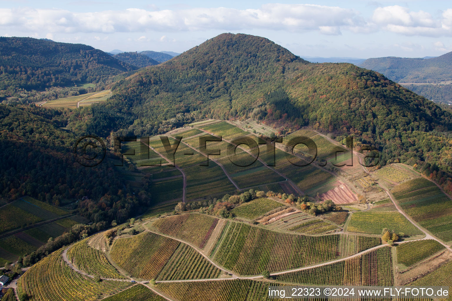 Drone image of Birkweiler in the state Rhineland-Palatinate, Germany