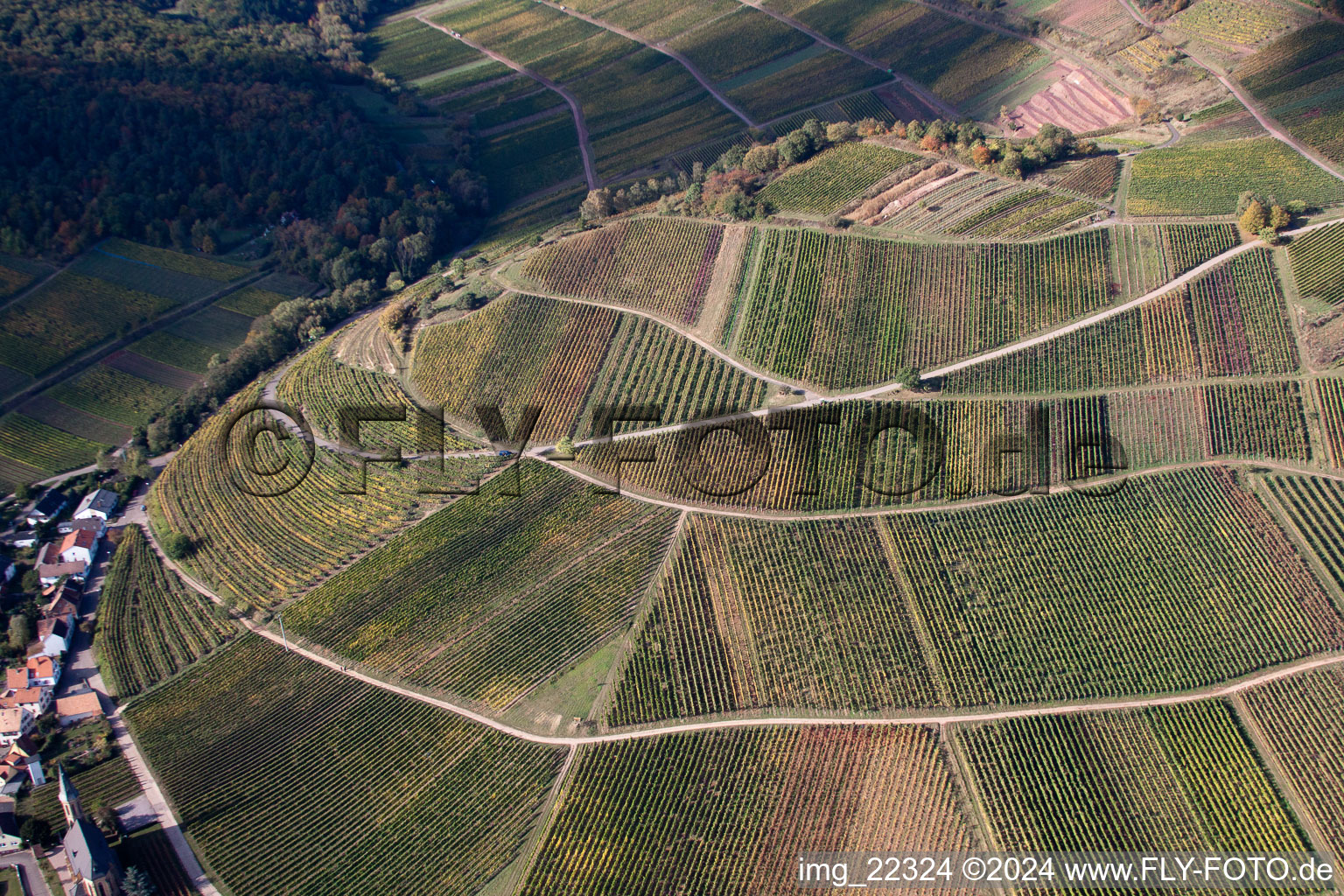 Birkweiler in the state Rhineland-Palatinate, Germany from a drone