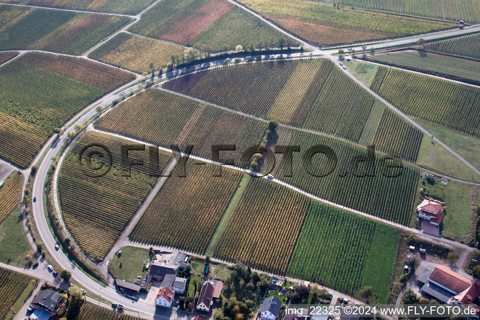 Birkweiler in the state Rhineland-Palatinate, Germany seen from a drone