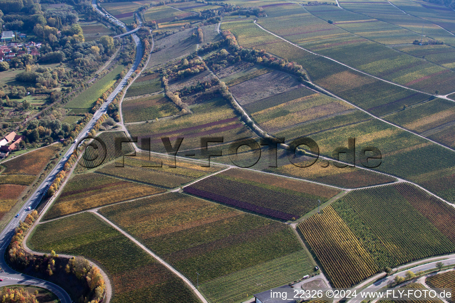 Birkweiler in the state Rhineland-Palatinate, Germany seen from a drone