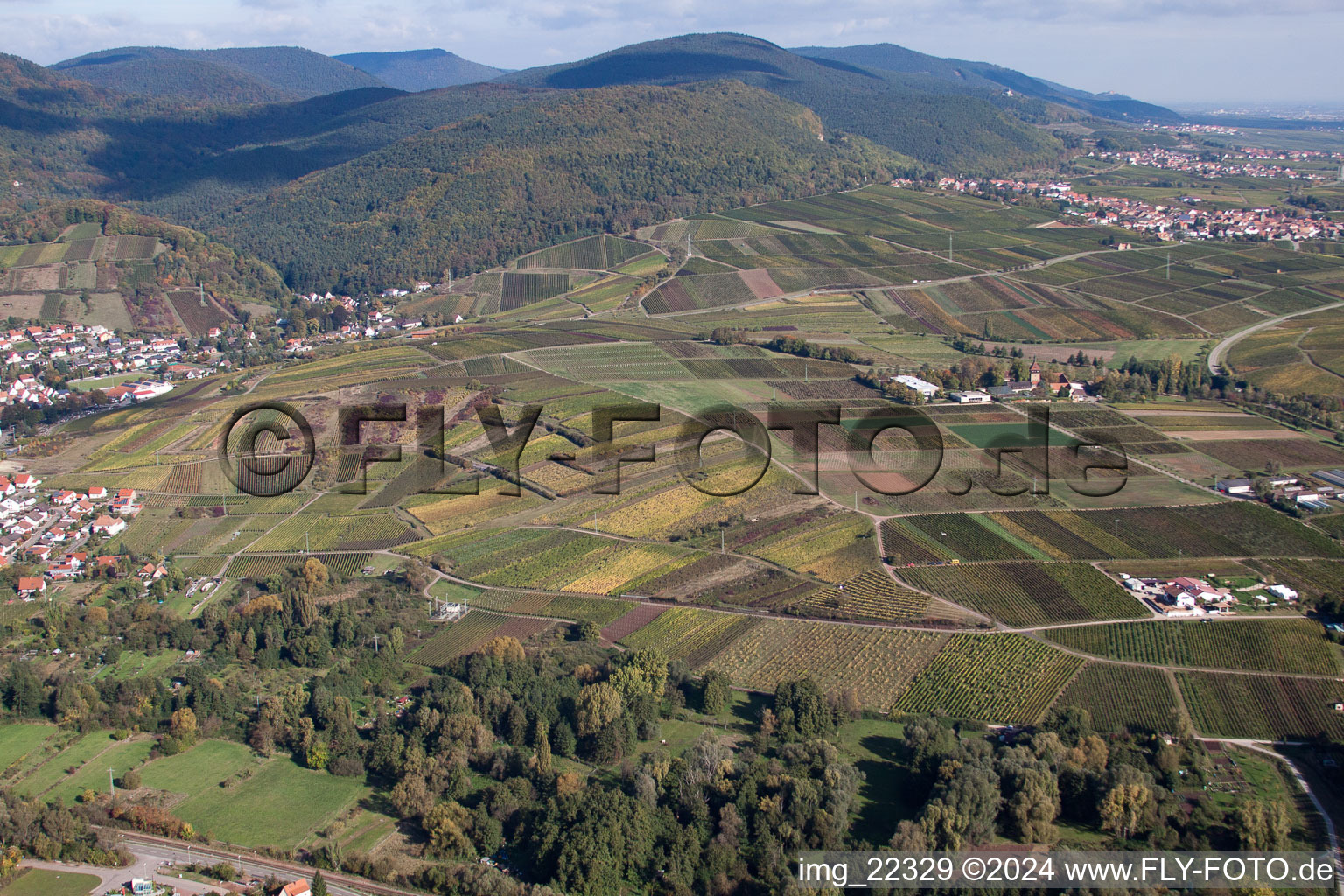 Siebeldingen in the state Rhineland-Palatinate, Germany from a drone