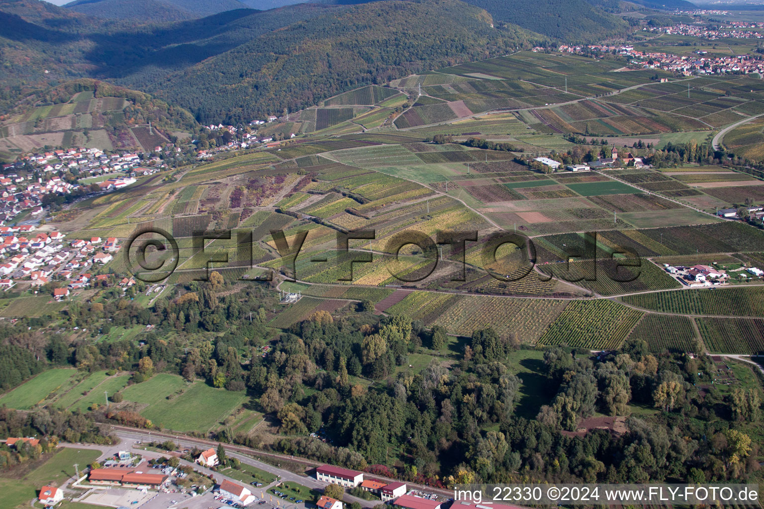 Siebeldingen in the state Rhineland-Palatinate, Germany seen from a drone