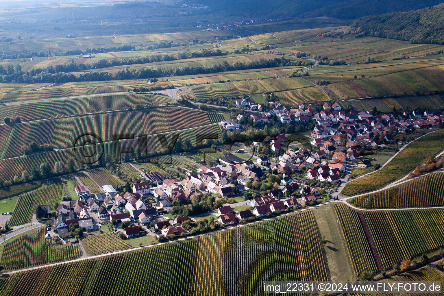 Aerial view of Birkweiler in the state Rhineland-Palatinate, Germany