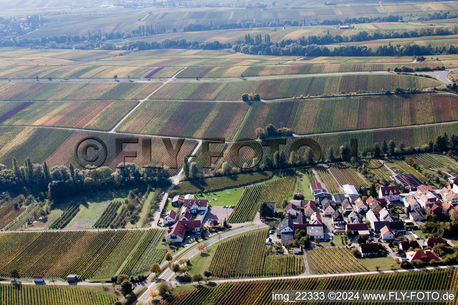 Oblique view of Birkweiler in the state Rhineland-Palatinate, Germany