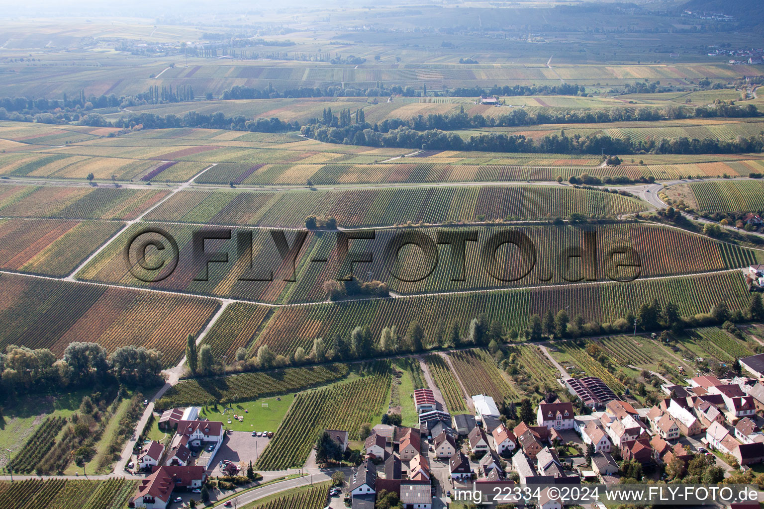 Birkweiler in the state Rhineland-Palatinate, Germany from above