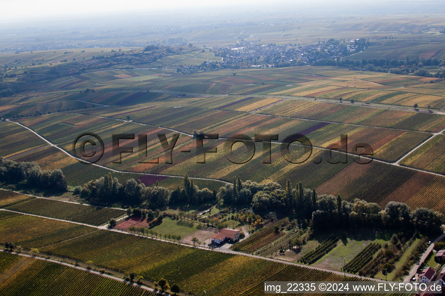 Fields of wine cultivation landscape in Ranschbach in the state Rhineland-Palatinate